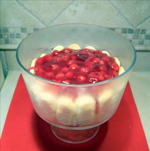 Ladyfinger Trifle