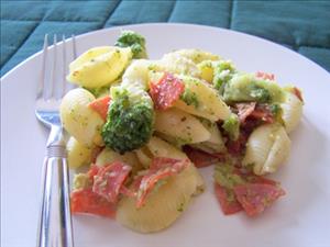 Shells With Broccoli